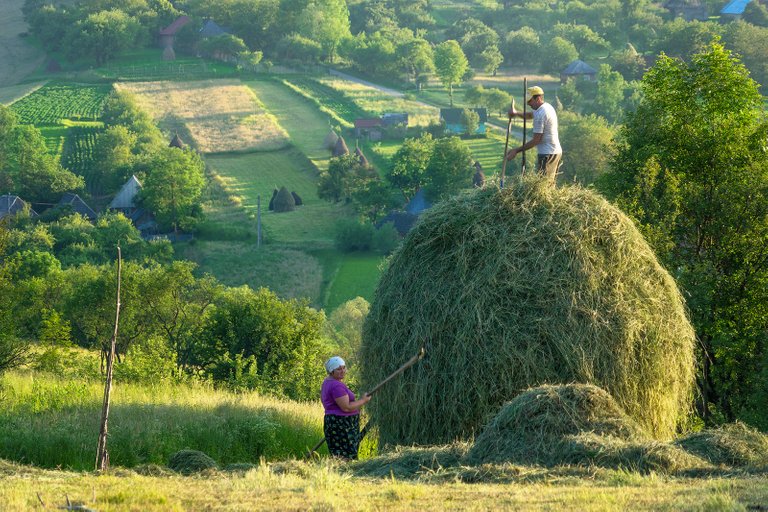 StackingHayInBreb.jpg