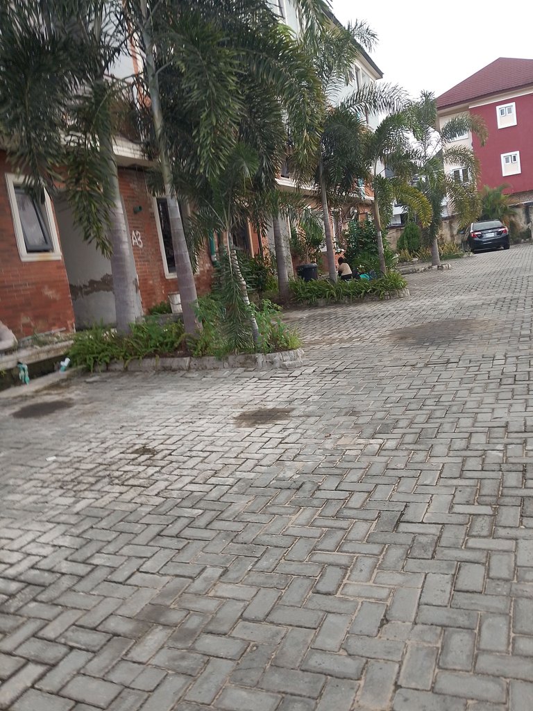 Switching lifestyles in Lagos