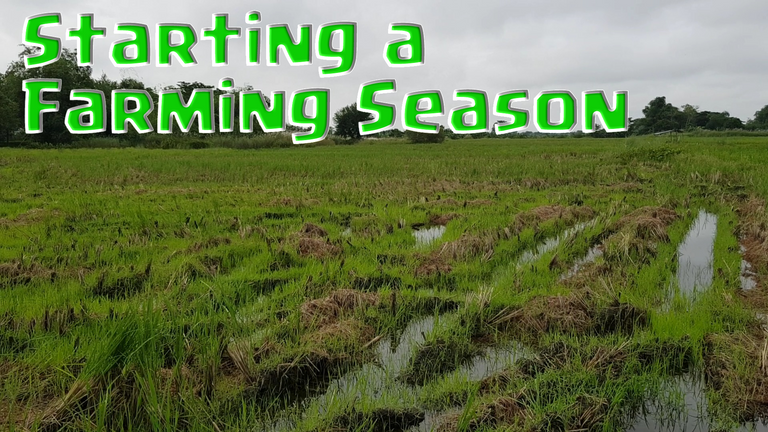 Starting a farming season.png