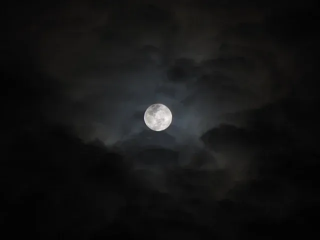 moonlight-2675063_640.webp