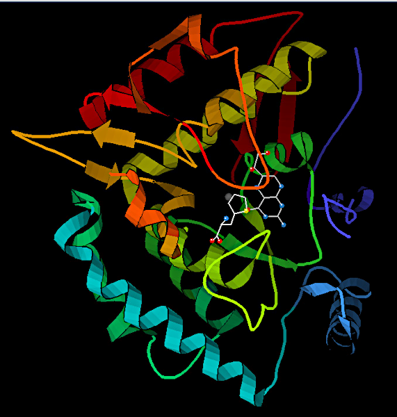 structure Phenylalanine hydroxylase  TimVickers at English Wikipedia public.png