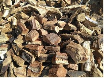 muelli's woodpile.png