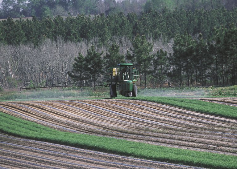 insecticide spraying.png