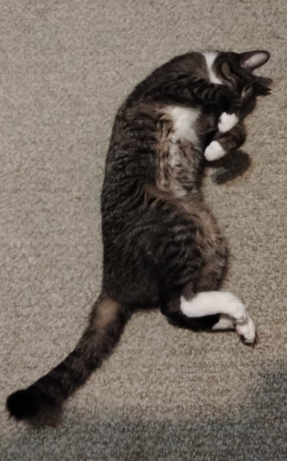 eli sleeping5.png