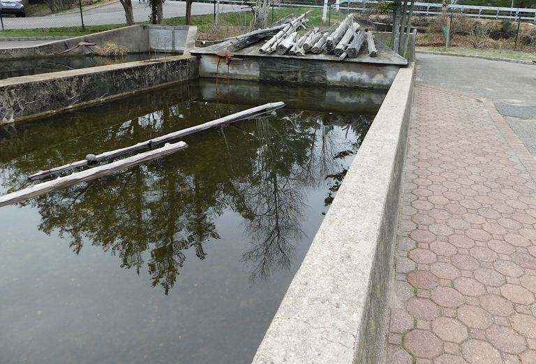 turtle pool with artificial turtle2.png