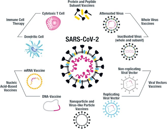 sars vaccine credit multiple 4.0.jpg