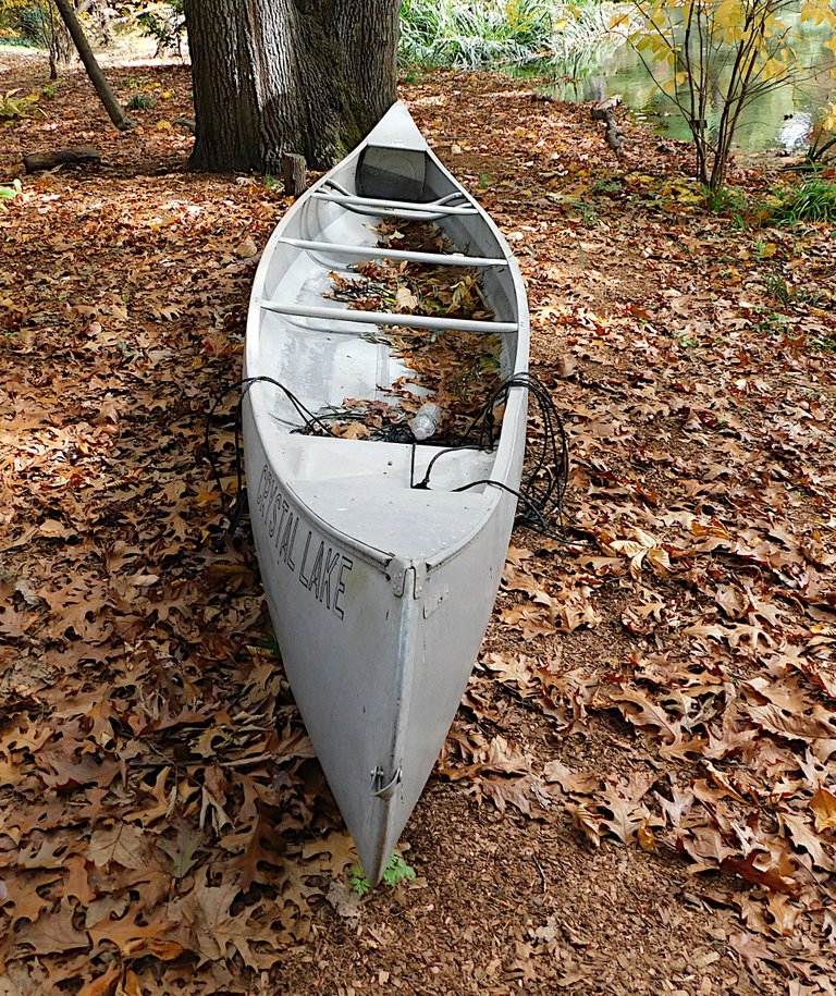 beached canoe.png