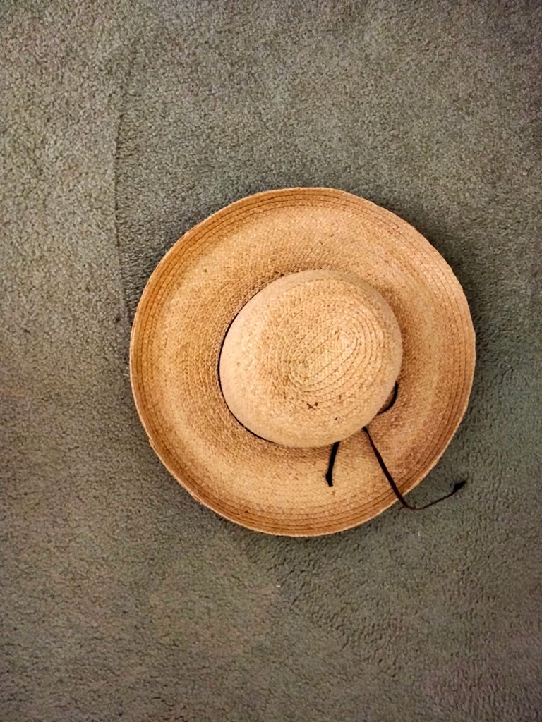 straw hat.jpg