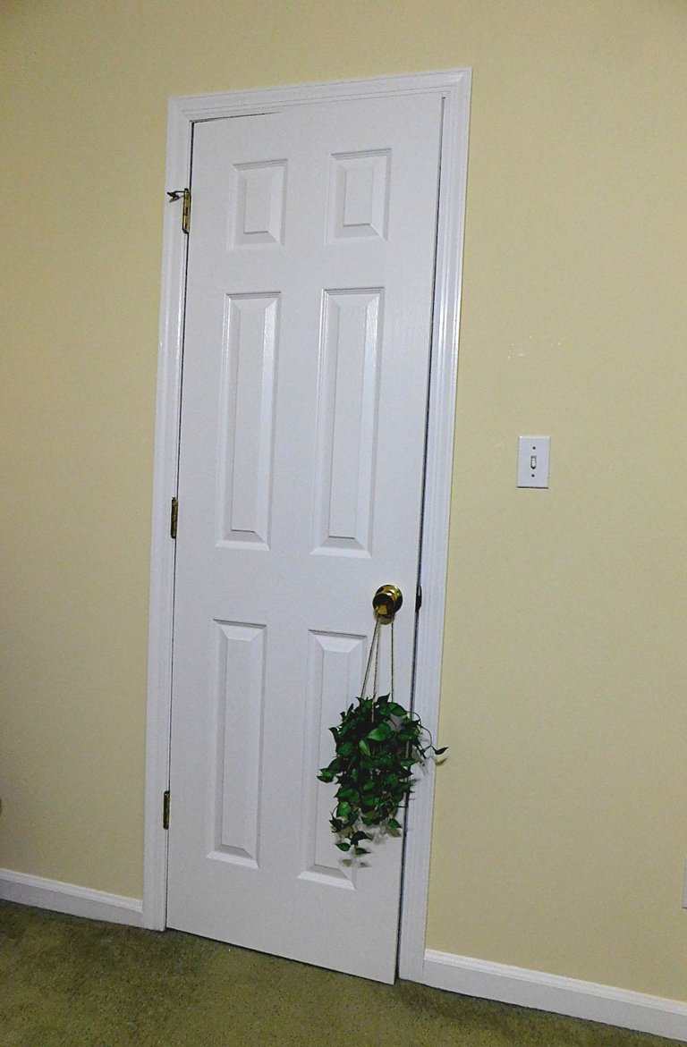 plant on closet door2.png