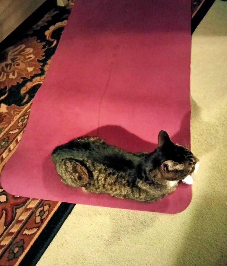 eli on exercise mat.png