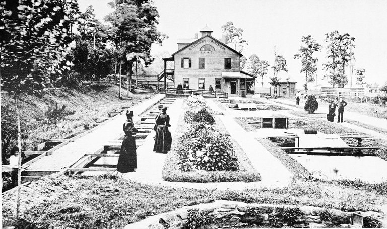 PSM_V47_D777_Fish_rearing_and_breeding_ponds_at_cold_spring_harbor[1].jpg