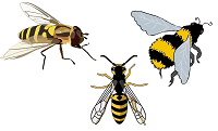 bees pixabay.png