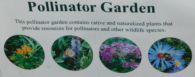 pollinator garden.png