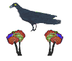 yaziris pigeon and flowers grackle.png