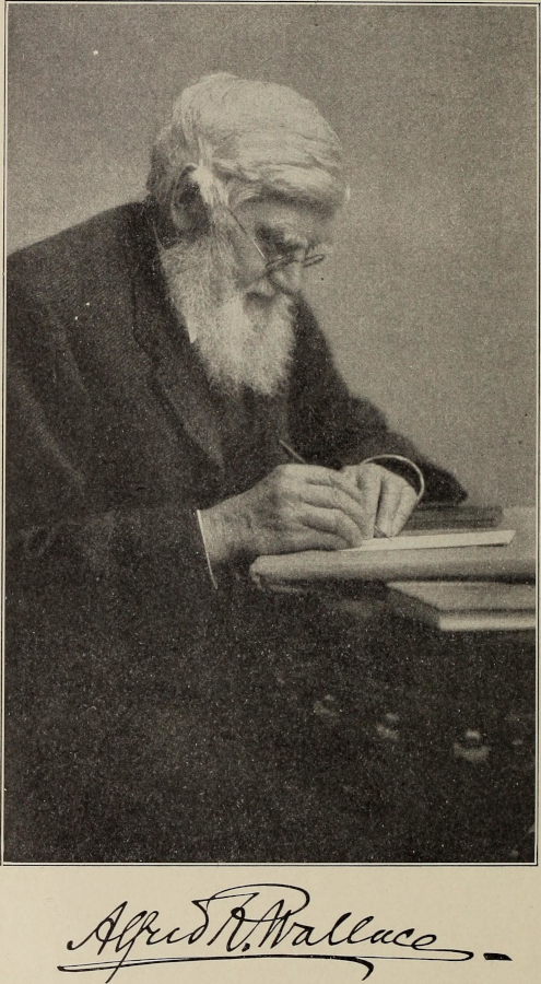 Portrait_of_Alfred_Russel_Wallace_(2) popular science library harvard university 1913.png