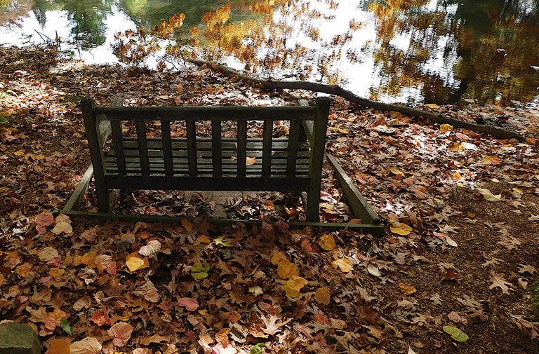 empty bench autumn.png
