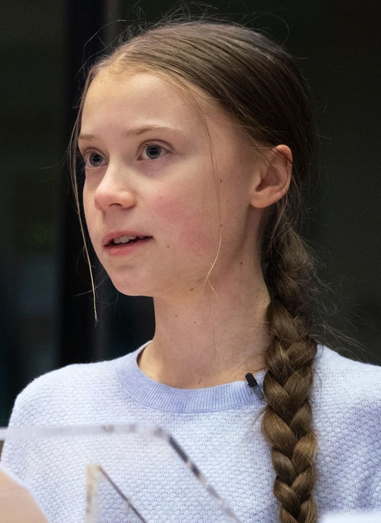 Greta_Thunberg_urges_MEPs_to_show_climate_leadership_(49618310531)_(cropped).jpg