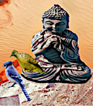 buddha and birds for blog.png