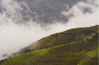 terraced farmin scene 133.png