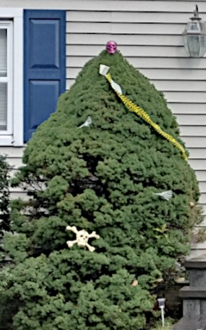 halloween tree.png