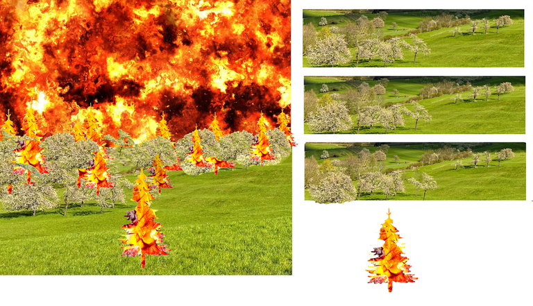 163 forest fire.png