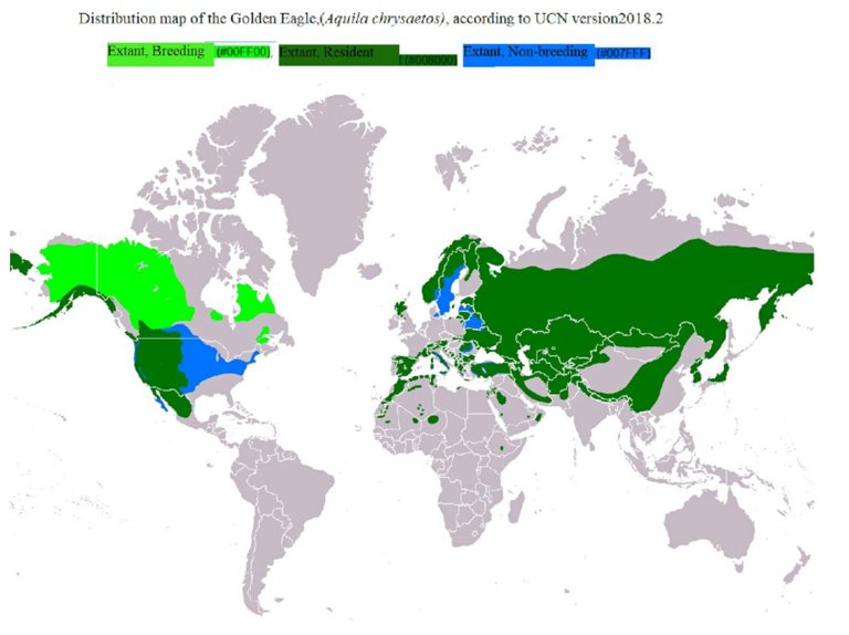 golden eagle distribution AquilaChrysaetosIUCNver2018_2 SanoAK Alexander Kürthy 4.0.jpg