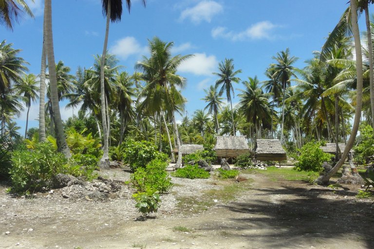 Landscape,_Kiribati,_2011 Attribution Erin Magee DFAT 2.0.jpg
