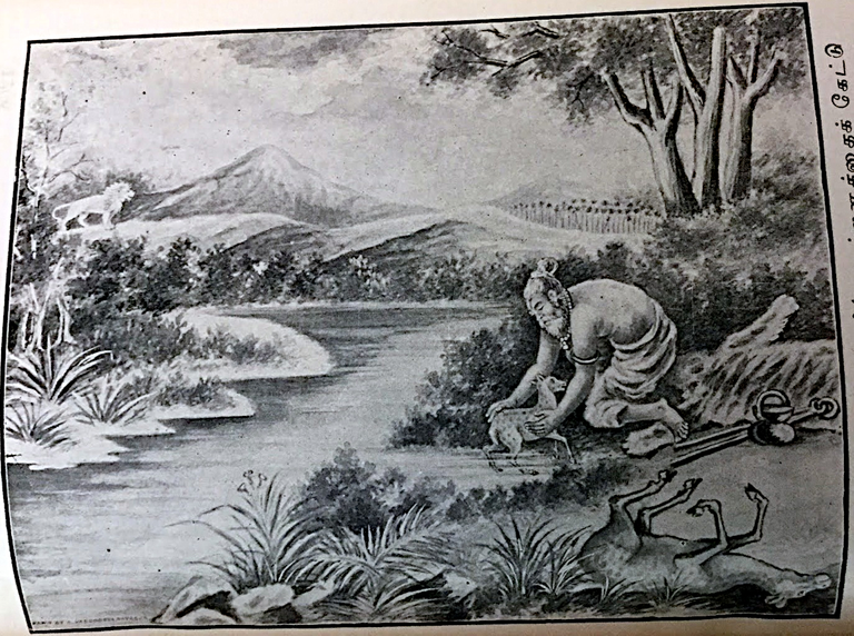 King_Bharata_saving_a_just_born_deer_cub_from_the_banks_of_a_river.png