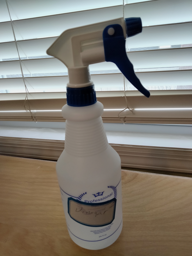 vinegar spray bottle.png