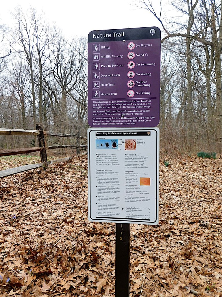 nature trail with tick sign sagamore.png