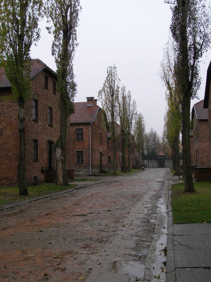 Domy_Auschwitz1 BrckoGOS 4.0.jpg