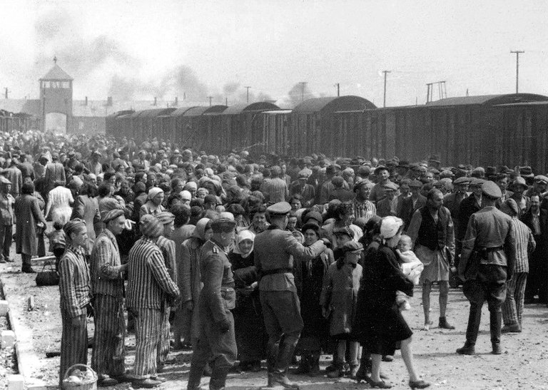 Selection_on_the_ramp_at_Auschwitz-Birkenau,_1944_(Auschwitz_Album)_1b.jpg
