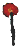 muelli flower from dog house2.png