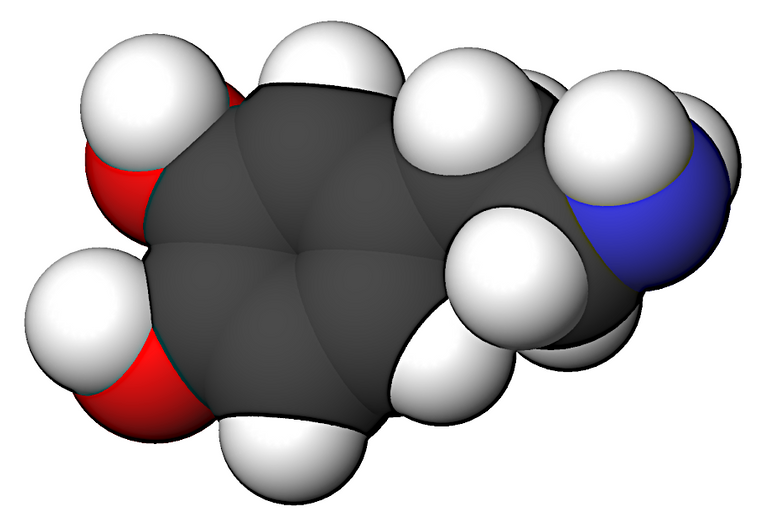 Dopamine-3d-CPK Sbrools 2.5 2.0 1.0.png