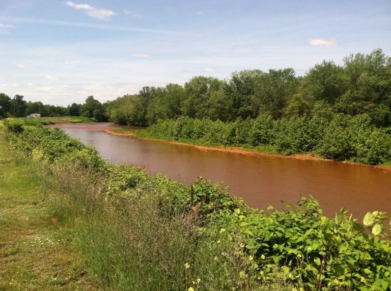 View_of_Lackawanna_River_from_Holy_Rosary_Cemetery JoshFelter 4.0.jpg