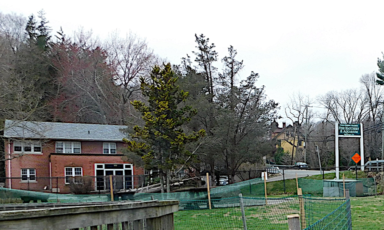 fish hatchery sign.png