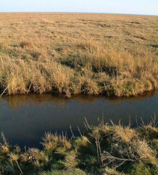 Saltwater_Pool__geograph.org.uk__691943.jpg