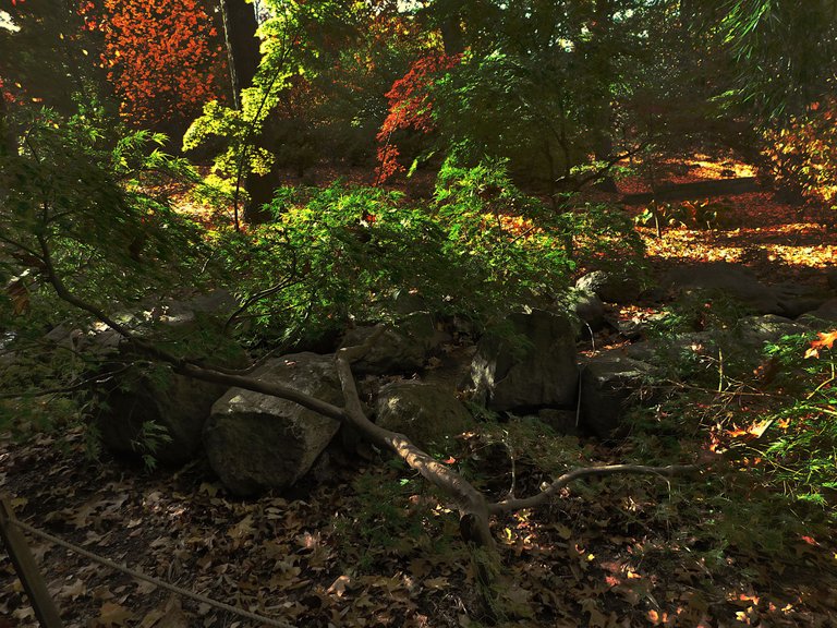 grotto in fall2.png