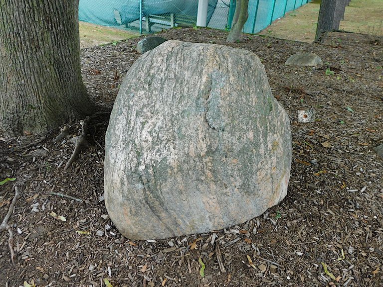large rock natural with bug.png