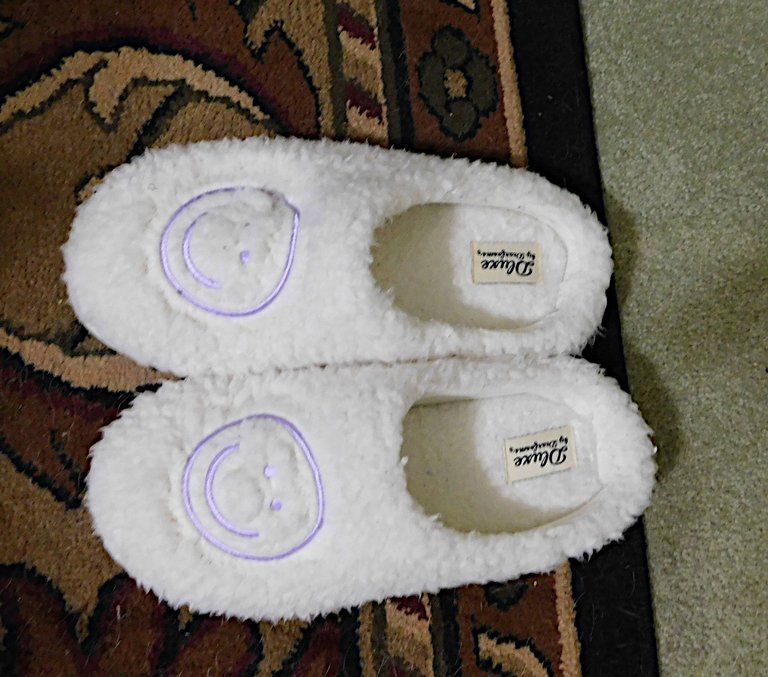 slippers.png