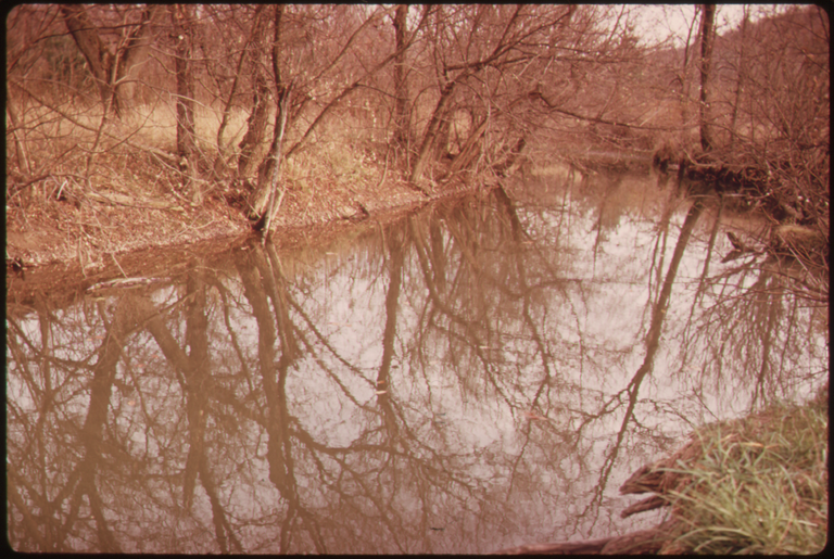 RUNOFF_SEDIMENT_FROM_NEARBY_STRIPPING_HAS_CLOUDED_THIS_STREAM._THIS_IS_IN_APPARENT_VIOLATION_OF_OHIO_LAW_WHICH..._-_NARA_-_554775.png