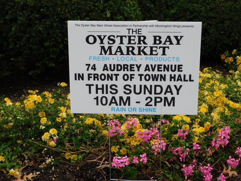 oyster bay market sign.jpg