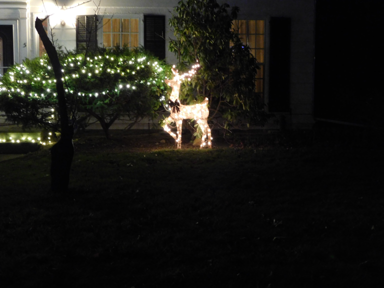 lit reindeer small.png