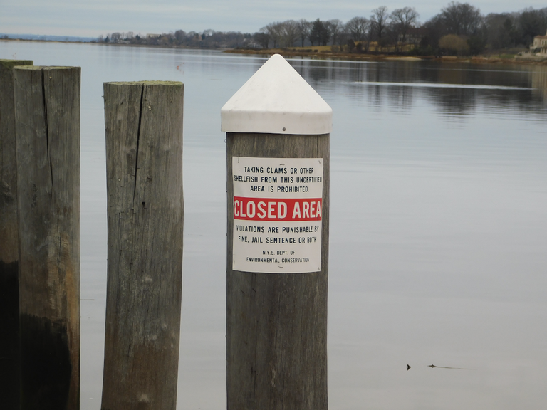 area closed for clamming sign oyster bay.png