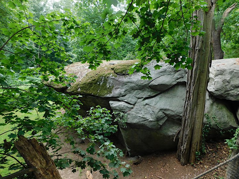 shelter rock with hint of shelter.png