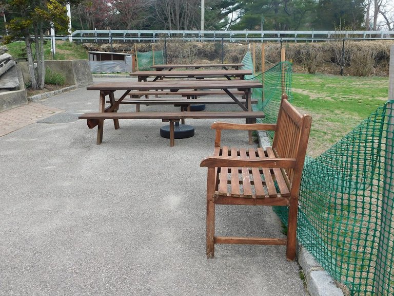 picnic tables cspH3.png