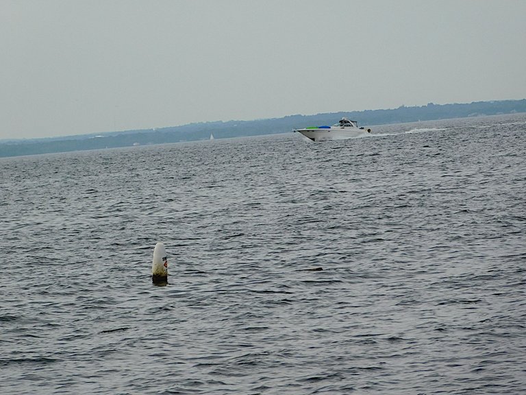 buoy.png