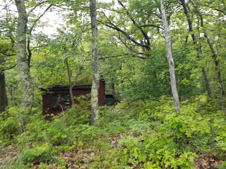 Abandoned_cabin_at_Sam's_Point_Preserve.png