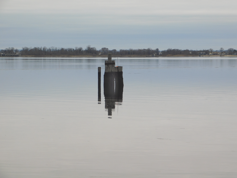 sunken pilings.png