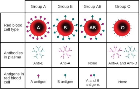 blood transfusion blood types.jpg